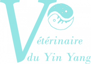 vétérinaire du yin et du yang