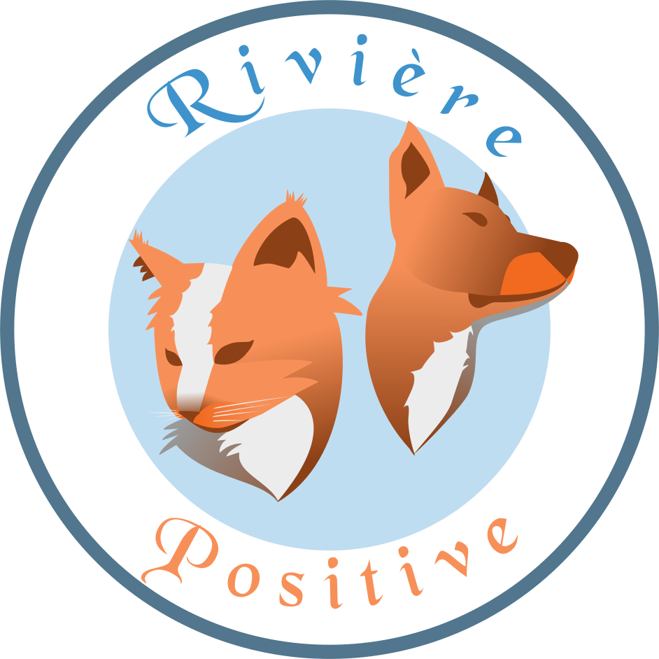 Rivière positive